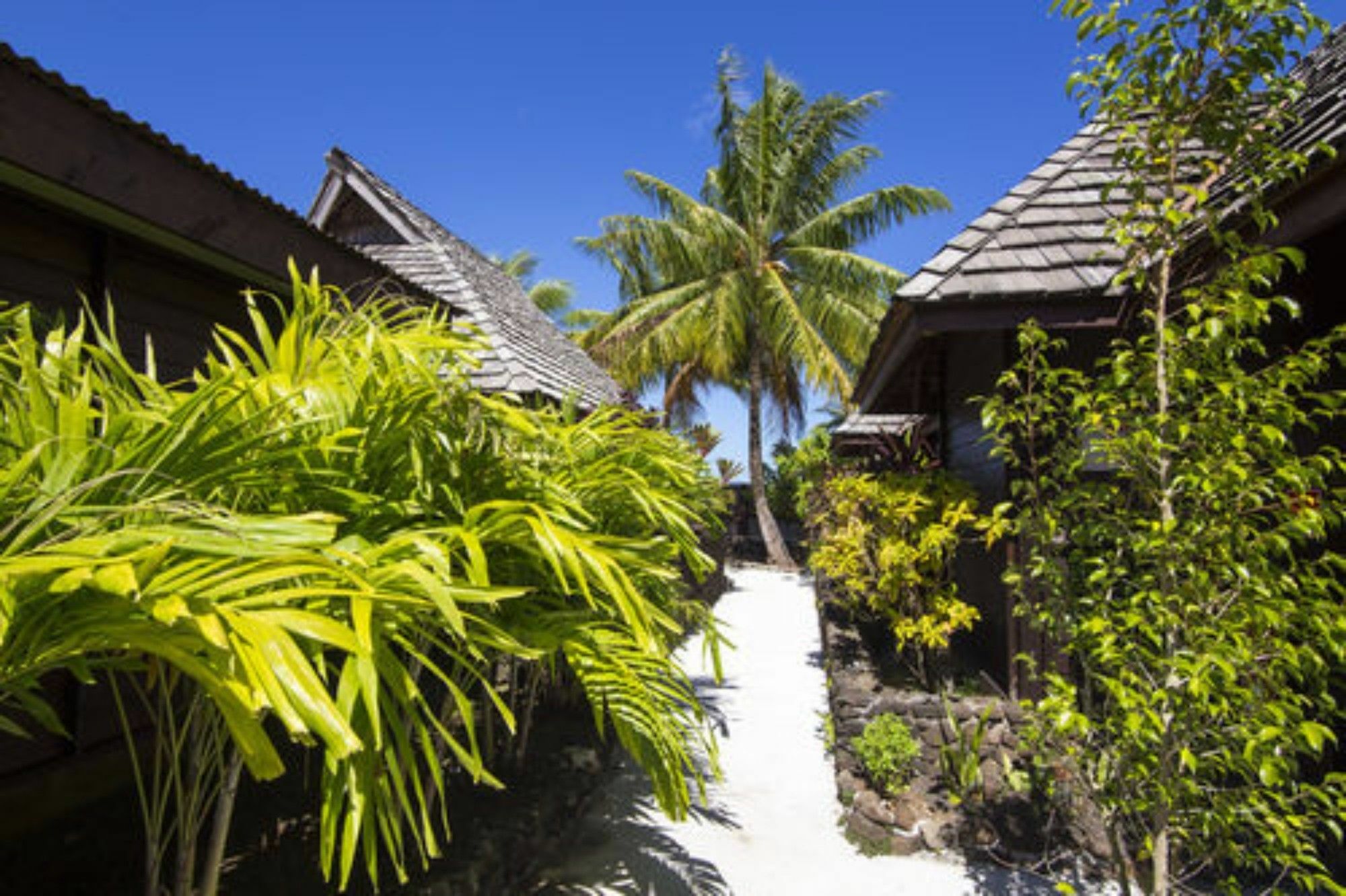 Oa Oa Lodge Bora Bora Exterior photo
