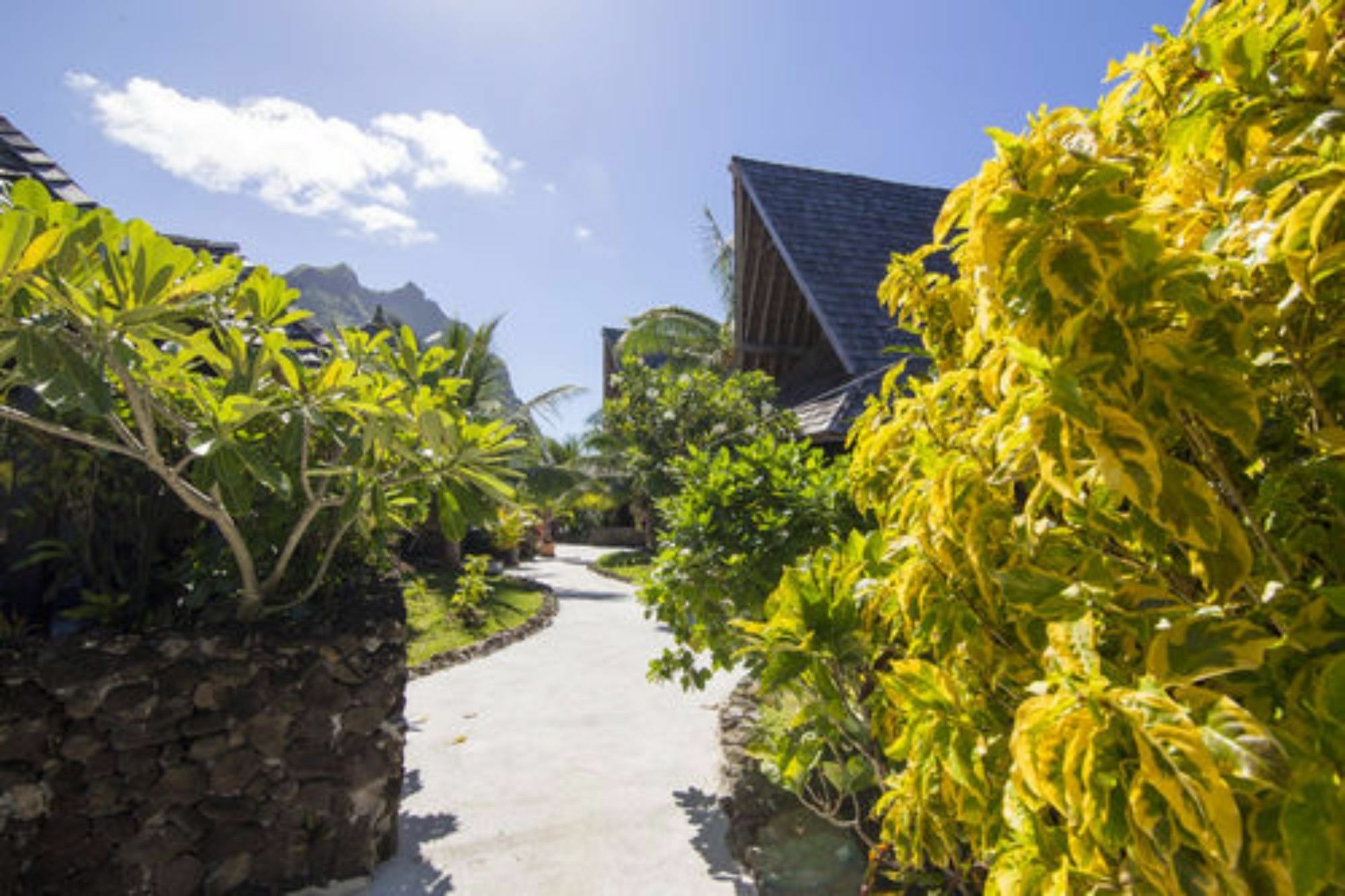 Oa Oa Lodge Bora Bora Exterior photo