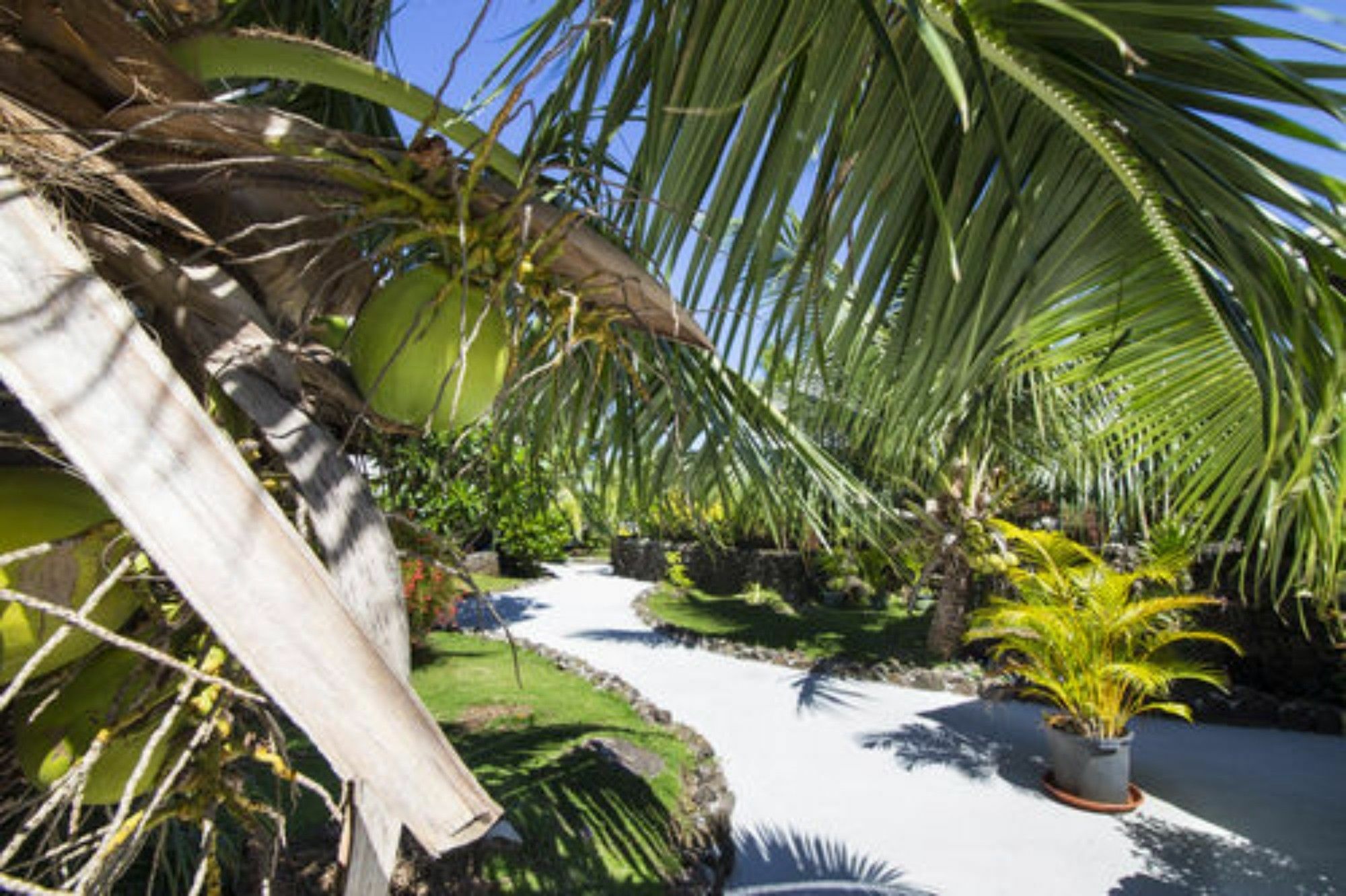 Oa Oa Lodge Bora Bora Exterior photo